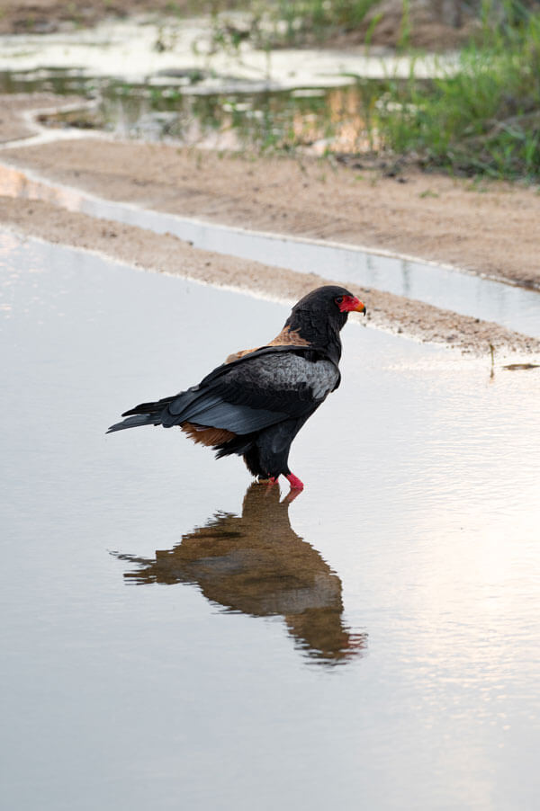 Gallery impression 9